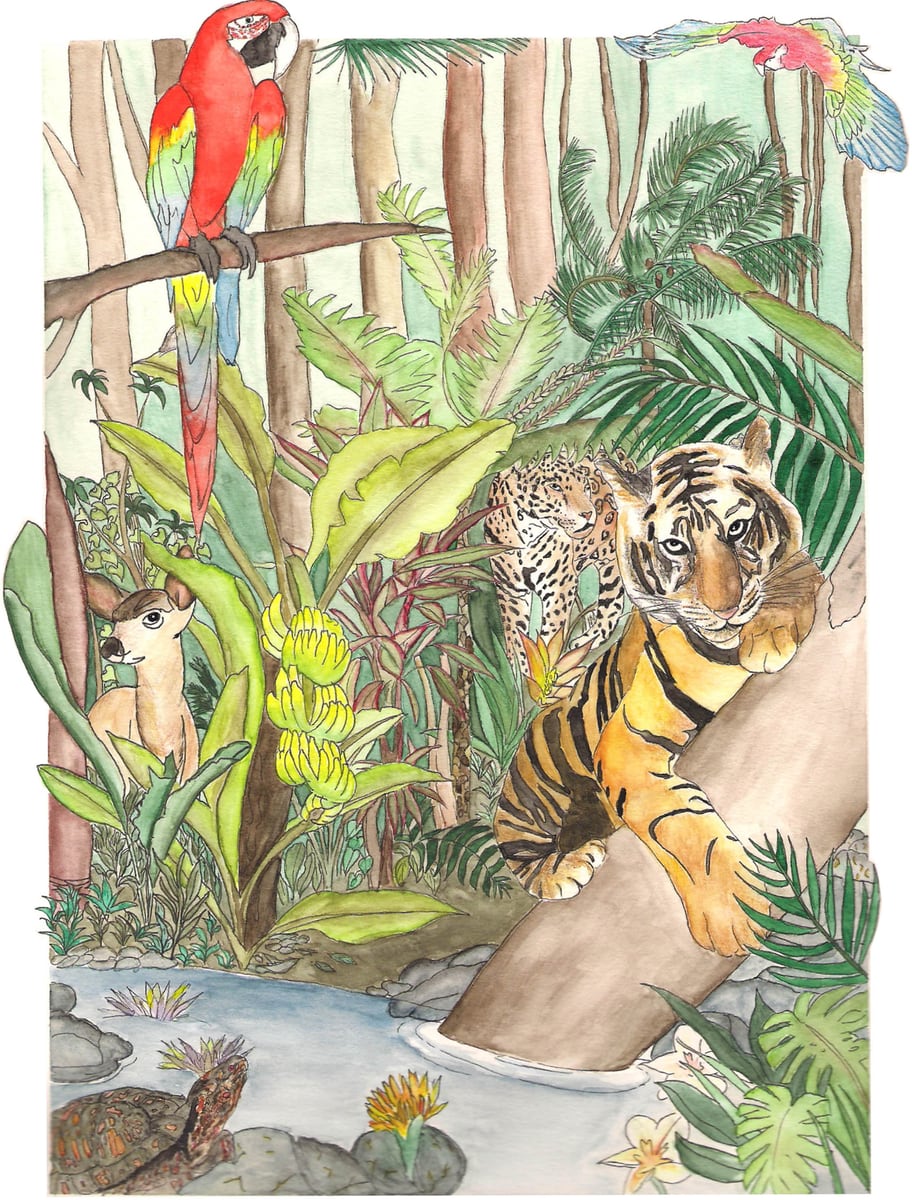 Illustration eines Dschungels mit Papageien, Tiger und weiteren Tieren